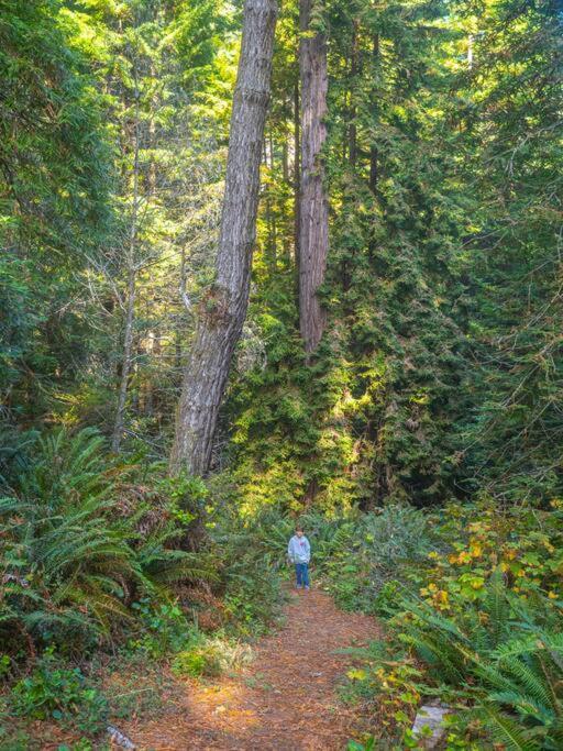 Driftwood Lodge ~ 5 Bedroom / 7 Bath ~ 30-Acre Private Estate On Hwy 1 ~ Hot Tub ~ Oceanview ~ Reunions & Retreats Walsh Landing Exterior photo